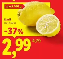 Lidl Lămâi Ofertă
