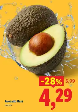 Lidl Avocado Hass Ofertă