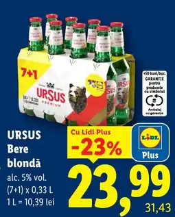 Lidl Ursus bere blondă Ofertă