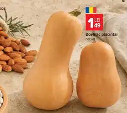 Carrefour Dovleac plăcintar Ofertă
