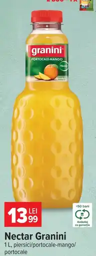 Carrefour Nectar Granini Ofertă