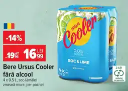 Carrefour Bere ursus cooler Ofertă