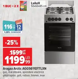 Carrefour Arctic aragaz Ofertă
