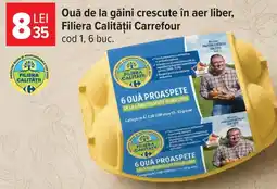 Carrefour Market Filiera Calității Carrefour Ouă de la găini crescute în aer liber Ofertă