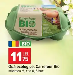Carrefour Market Carrefour Bio Ouă ecologice Ofertă