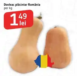 Supeco Dovleac plăcintar România Ofertă