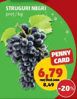 Penny Struguri negri Ofertă