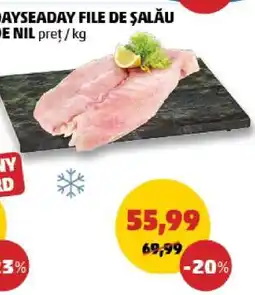 Penny File de Șalău de Nil Ofertă