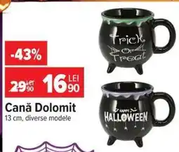 Carrefour Cană Dolomit Ofertă