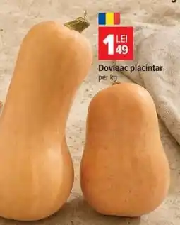 Carrefour Dovleac plăcintar Ofertă