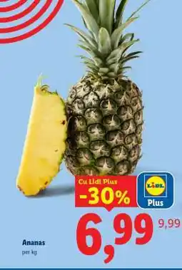 Lidl Ananas Ofertă