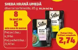 Penny SHEBA Hrană umedă Ofertă