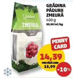 Penny GRĂDINA PĂDURII ZMEURĂ Ofertă