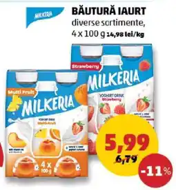 Penny Băutură Iaurt MilkEria Ofertă