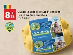 Carrefour Ouă de la găini crescute în aer liber Filiera Calității Carrefour Ofertă