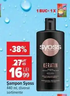 Carrefour Șampon Syoss Ofertă