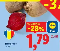 Lidl Sfeclă roşie Ofertă