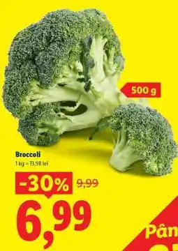 Lidl Broccoli Ofertă