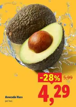 Lidl Avocado Hass Ofertă