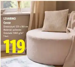 Lidl Livarno Covor Ofertă