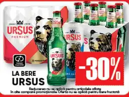PROFI Ursus bere Ofertă