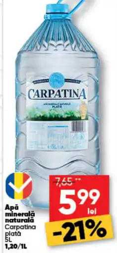 PROFI Carpatina apă minerală naturală plată Ofertă