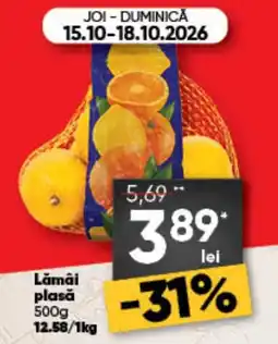 PROFI Lămâi plasă Ofertă