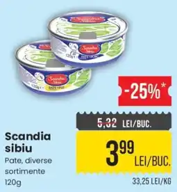 Mega Image Scandia sibiu Pate, diverse sortimente Ofertă