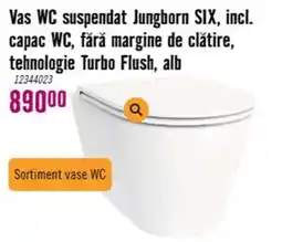 Hornbach Jungborn SIX Ofertă