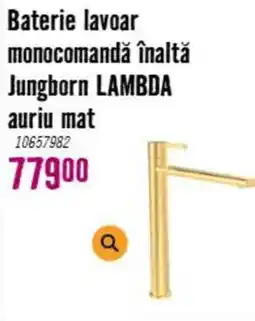 Hornbach Jungborn lambda baterie lavoar monocomandă înaltă auriu mat Ofertă