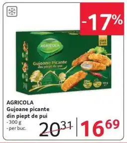 Selgros AGRICOLA Gujoane picante din piept de pui Ofertă