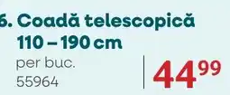 Selgros Coadă telescopică Ofertă