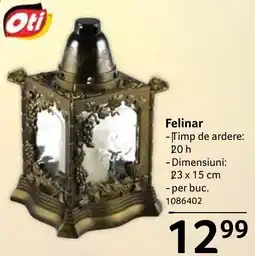 Selgros Oti Felinar Ofertă