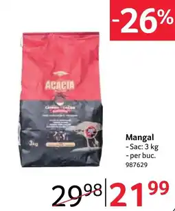Selgros Acacia mangal Ofertă