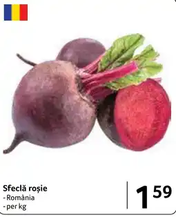 Selgros Sfeclă roșie Ofertă