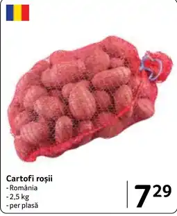Selgros Cartofi roșii Ofertă