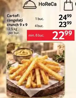 Selgros Cartofi congelati crunch 9 x 9 Ofertă