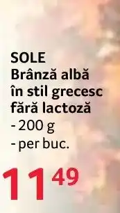 Selgros Sole brânză albă în stil grecesc fără lactoză Ofertă