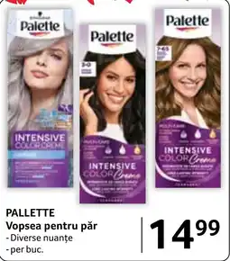 Selgros Palette Vopsea pentru păr Ofertă