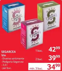 Selgros Segarcea Vin Ofertă