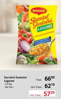 Selgros Maggi Secretul Gustului Legume Ofertă