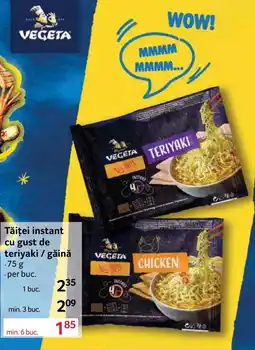 Selgros Vegeta tăiței instant Ofertă
