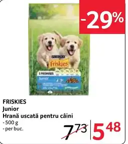 Selgros Friskies junior Ofertă