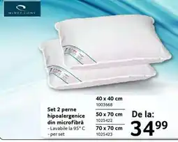Selgros Set 2 perne hipoalergenice din microfibră Ofertă
