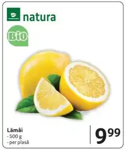 Selgros Lămâi Ofertă