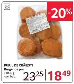 Selgros PUIUL DE CRĂIEȘTI Ofertă