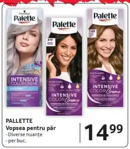 Selgros PALLETTE Vopsea pentru păr Ofertă