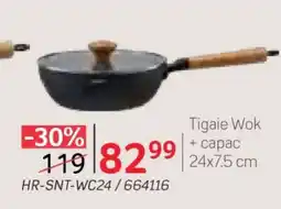 Selgros Tigaie Wok + capac Ofertă