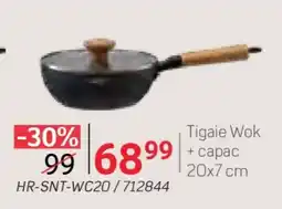 Selgros Tigaie Wok + capac 20x7 cm Ofertă