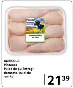 Selgros AGRICOLA Pintenăș Ofertă